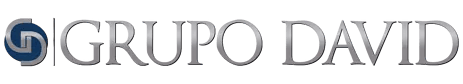 Grupo David