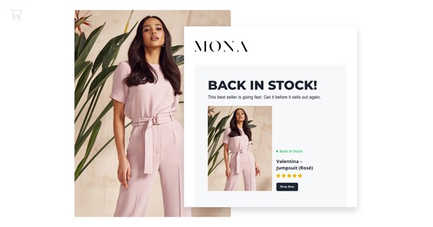 Back in stock email