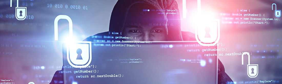 criminal braking internet security
