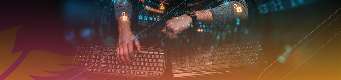 Types of ecommerce fraud