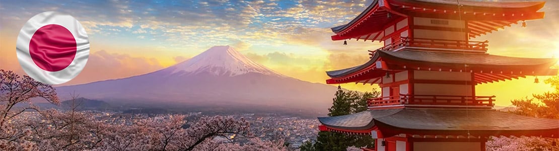 Ecommerce in Japan